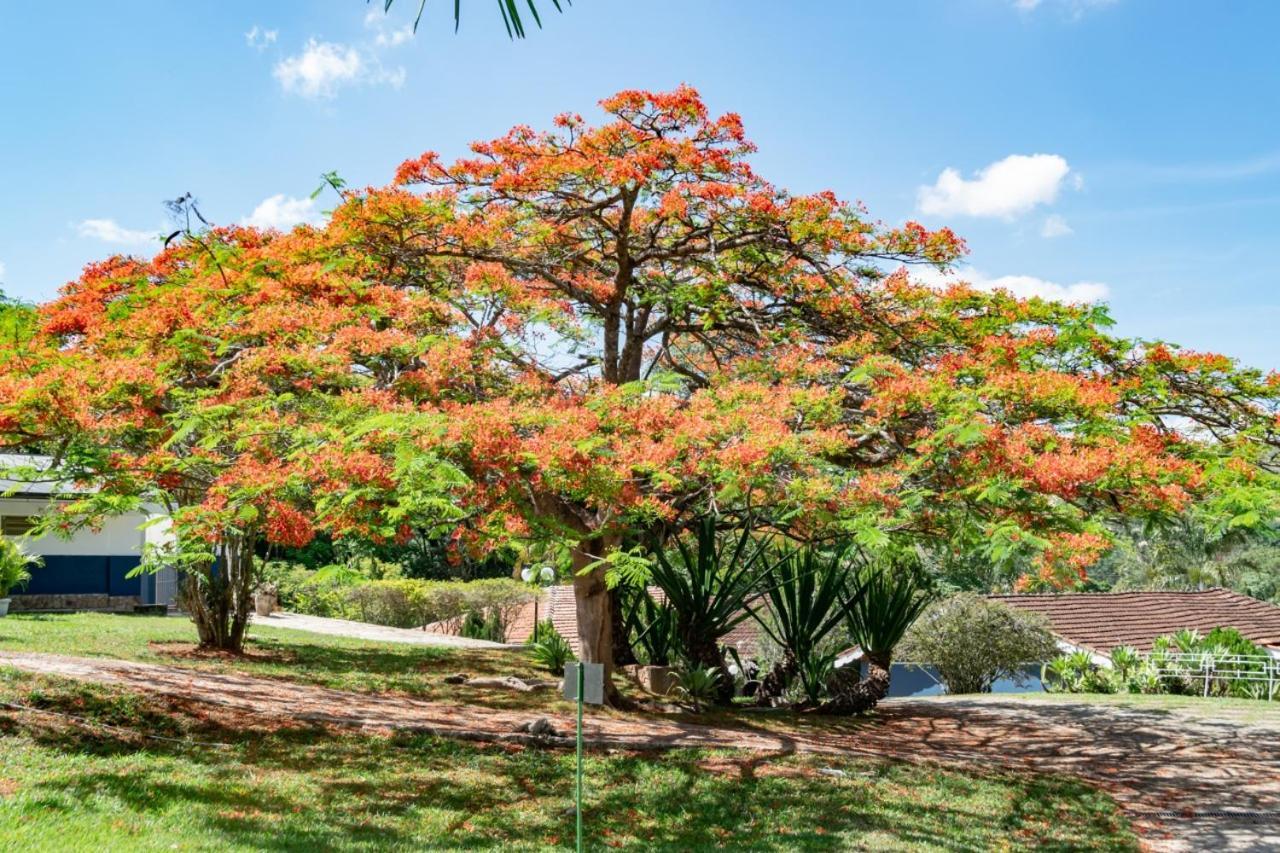 Villa Do Sossego Pousada Lindóia المظهر الخارجي الصورة